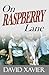 On Raspberry Lane