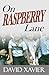On Raspberry Lane by David Xavier