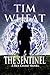The Sentinel: A Rex Chase Novel