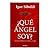 ¿Qué Ángel Soy? La guía espiritual para la vida.