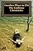 Another Place To Die: The Endtime Chronicles