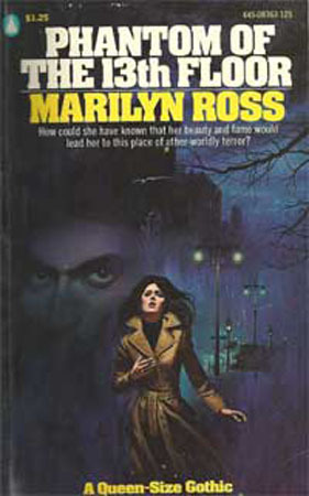 Phantom of the 13th Floor (Paperback)
