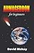 Armageddon For Beginners