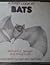 A First Look at Bats (First...