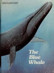 The Blue Whale