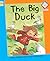 The Big Duck (Reading Corner Phonics)