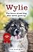 Wylie: The Brave Street Dog Who Never Gave Up