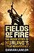 Fields of Fire: The Inside Story of Hurling's Great Renaissance