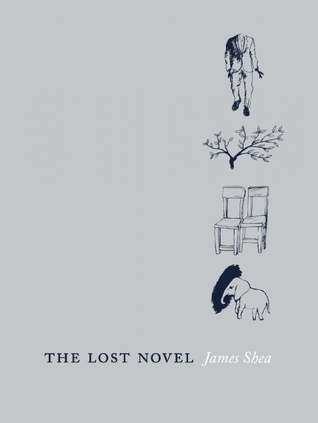 The Lost Novel (Paperback)
