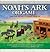 Noah's Ark Origami (Origami Books)