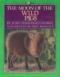 The Moon of the Wild Pigs