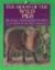 The Moon of the Wild Pigs (13th Moon Series)