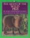 The Moon of the Wild Pigs (13th Moon Series)