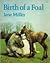 Birth of a Foal