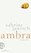 Ambra