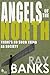 Angels of The North