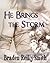 He Brings the Storm (Taming Rio #1)