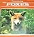 Discovering Foxes (Discovering Nature)