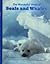 The Wonderful World of Seals and Whales (Books for Young Explorers)