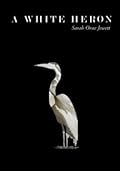 A White Heron