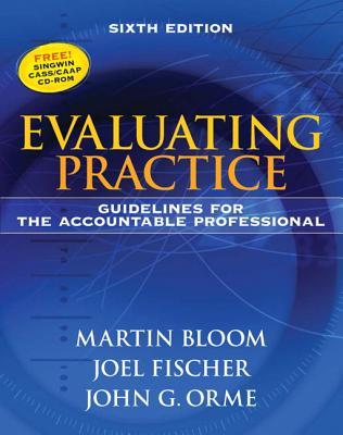 Evaluating Practice: Guidelines for the Accountable Professional (Hardcover)
