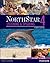 NorthStar Listening and Speaking 4 with MyLab English (4th Edition)