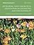 Developing Your Theoretical Orientation in Counseling and Psychotherapy (3rd Edition)