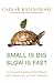 Small Is Big, Slow Is Fast:...