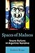 Spaces of Madness: Insane Asylums in Argentine Narrative