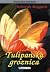 Tulipanska groznica by Deborah Moggach Tulipanska groznica by Deborah Moggach