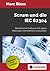 Scrum und die IEC 62304 by Marc Bless