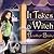 It Takes a Witch (A Wishcraft Mystery, #1) by Heather Blake