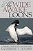 The Wide Awake Loons