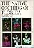 The Native Orchids of Florida