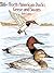 North American Ducks, Geese and Swans Coloring Book (Dover Animal Coloring Books)