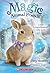 Lucy Longwhiskers Gets Lost (Magic Animal Friends #1)