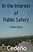 In the Interest of Public Safety by N.M. Cedeño