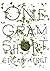 One Gram Short by Etgar Keret
