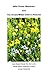 Wild Flower Meadows and The...
