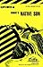 Cliffsnotes on Wright's Native Son