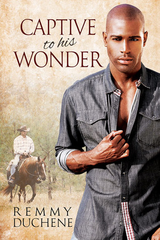 Captive to His Wonder (Paperback)