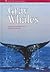 Gray Whales (Monterey Bay Aquarium Natural History Series)