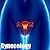 Essentials of gynaecology by Department of obs. cairo univ.