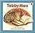 Tabby Max (Picture Story Books)