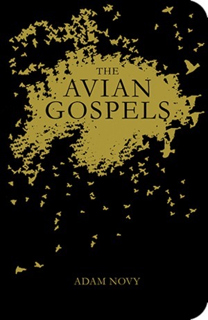 The Avian Gospels