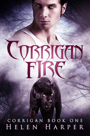 Corrigan Fire (Corrigan, #1)