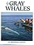 A Pod of Gray Whales: An Affectionate Portrait