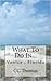 What To Do In Venice, Florida