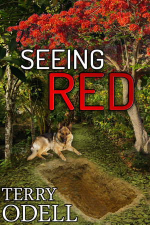 Seeing Red (Kindle Edition)