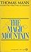 The Magic Mountain by Thomas Mann